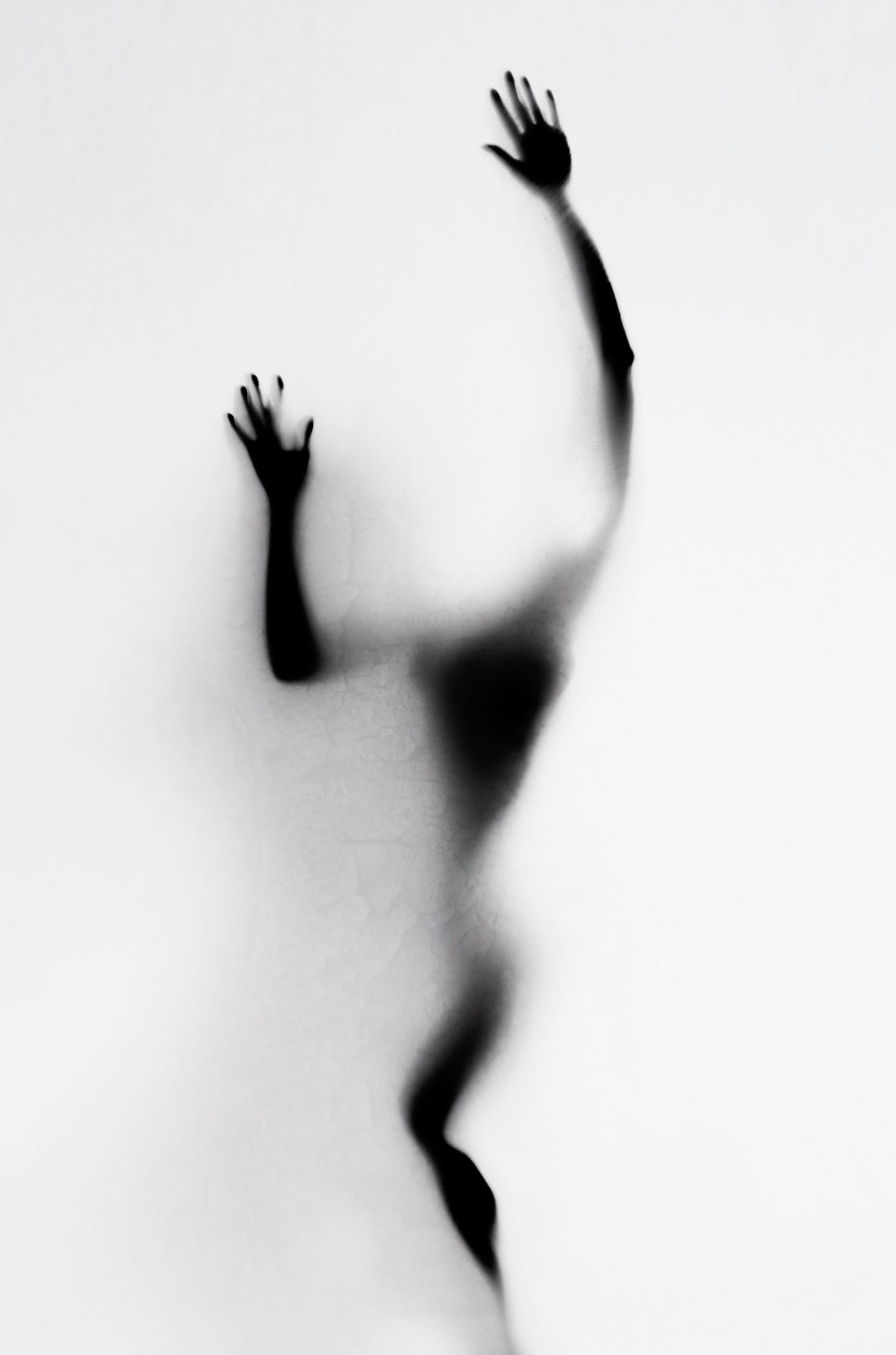 Silhouette Three