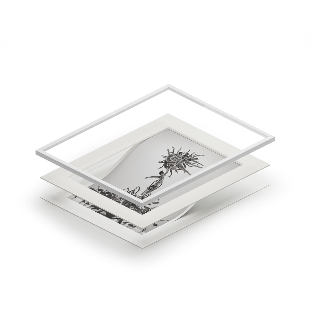 Dancers Tree - Fine Art Print (Passepartout Paper Frame)