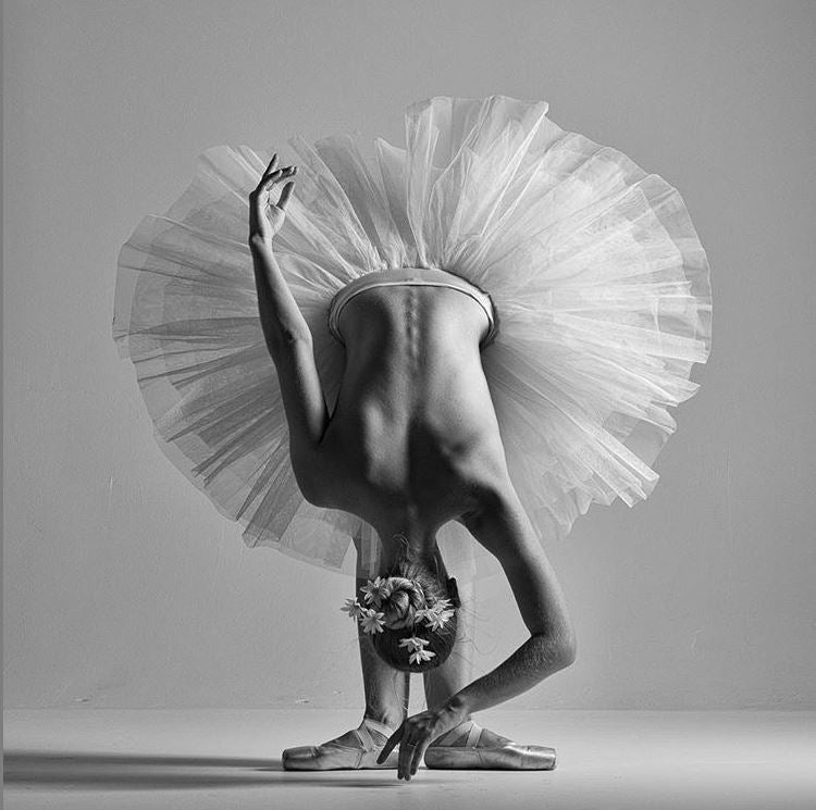 Ballet and Ballerina Print Photographic Collection
