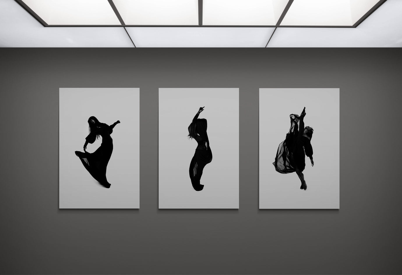 Monochrome Motion Collection by FX Pelissier