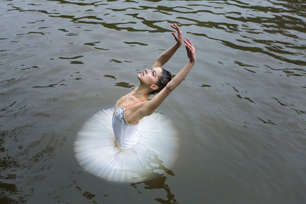 Swan Waltz