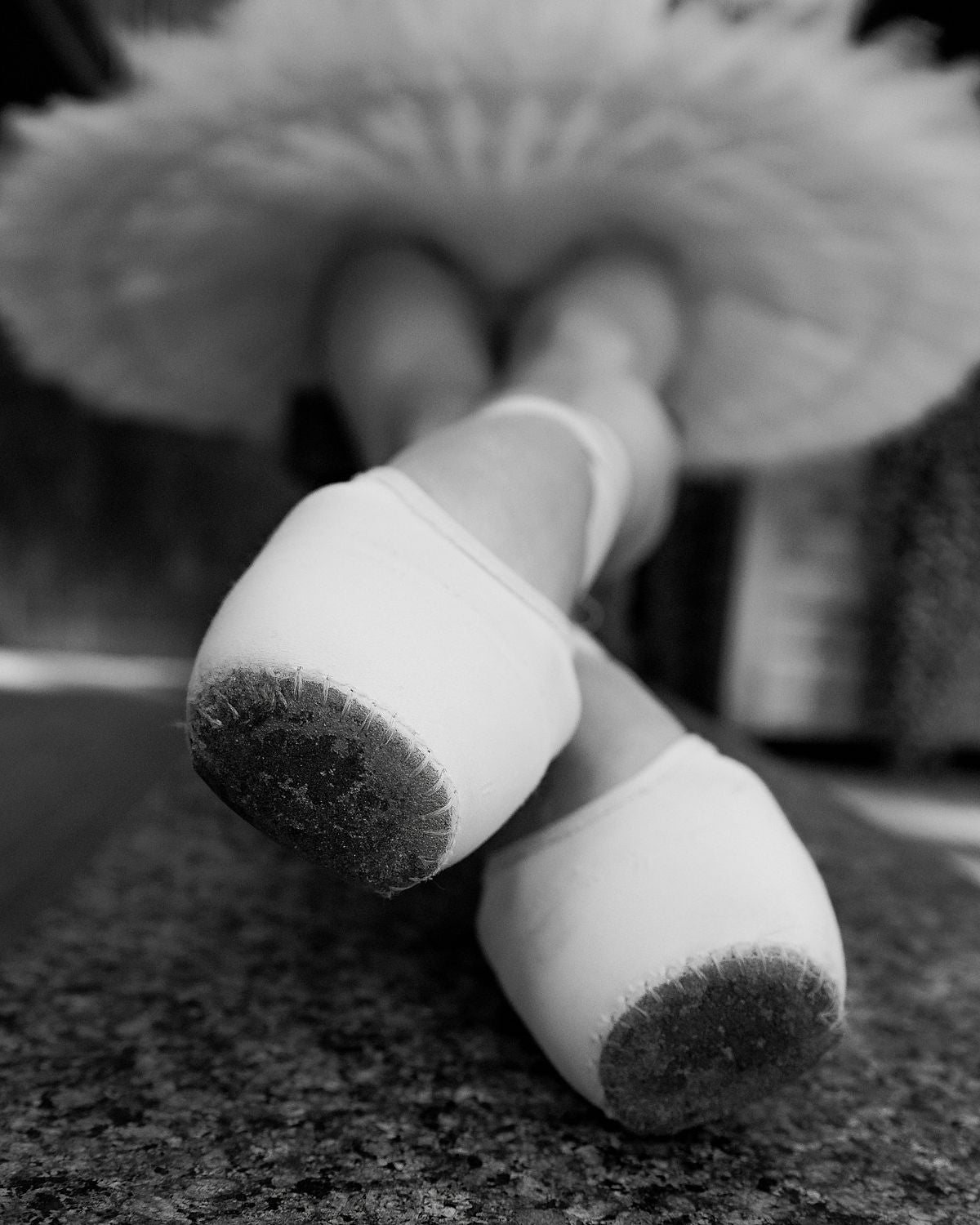 Echoes of Pointe