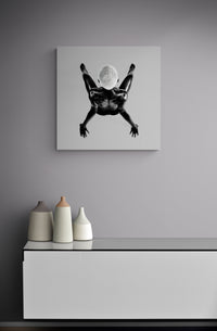 Monochrome zenith view mapping balance and rhythm; premium archival print styled in a living space for collectors, hotels, and design studios.