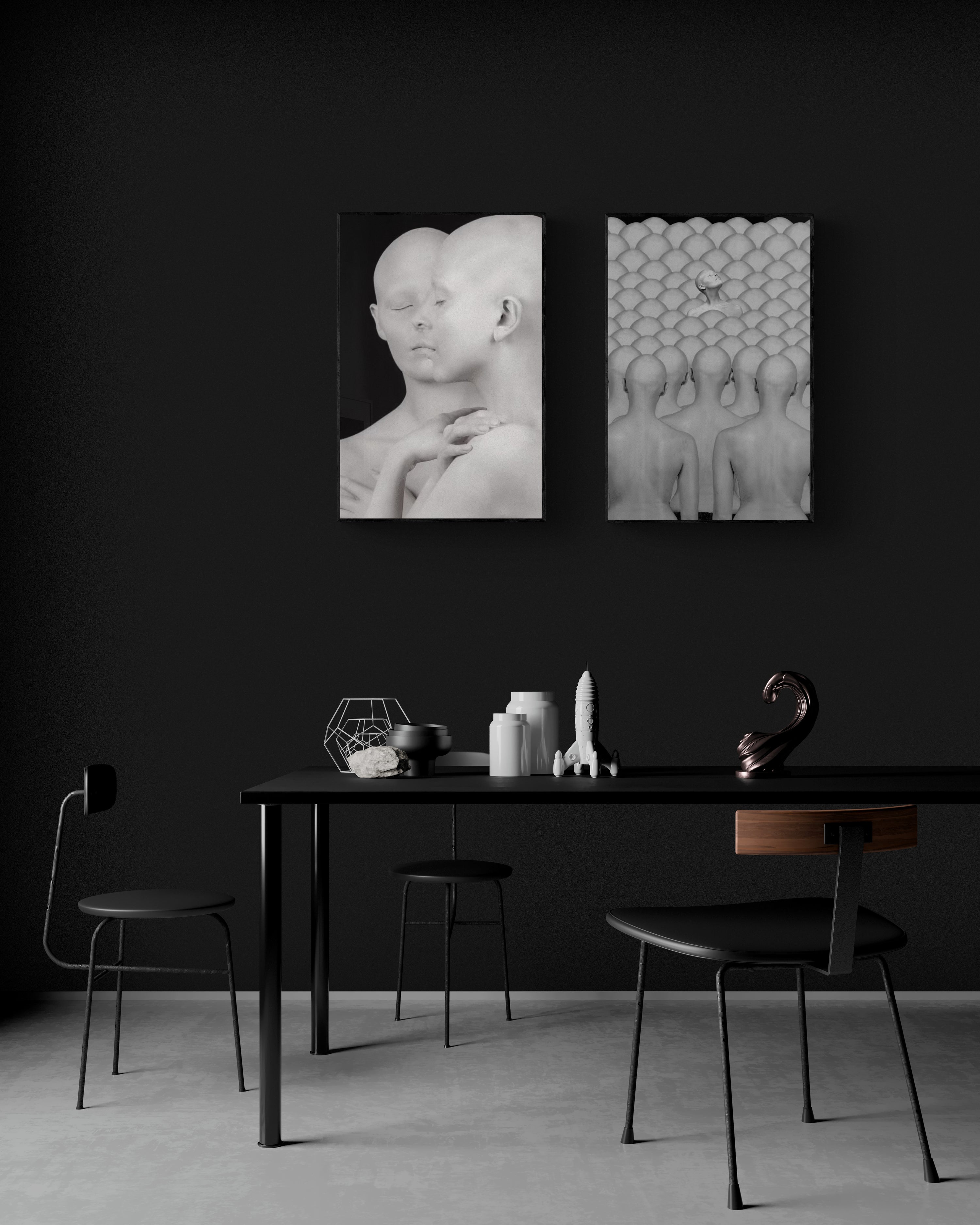 Monochrome fine-art diptych by Rani Bruchstein, two limited-edition prints curated by Dance ArtWorks Gallery, showcasing poetic motion and sculptural light.