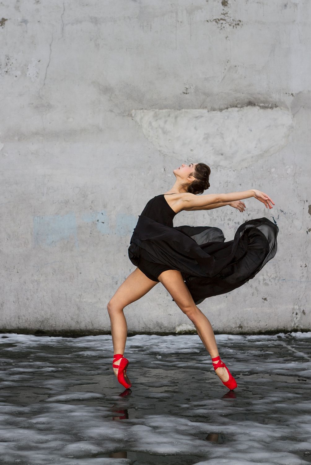 Arching Elegance