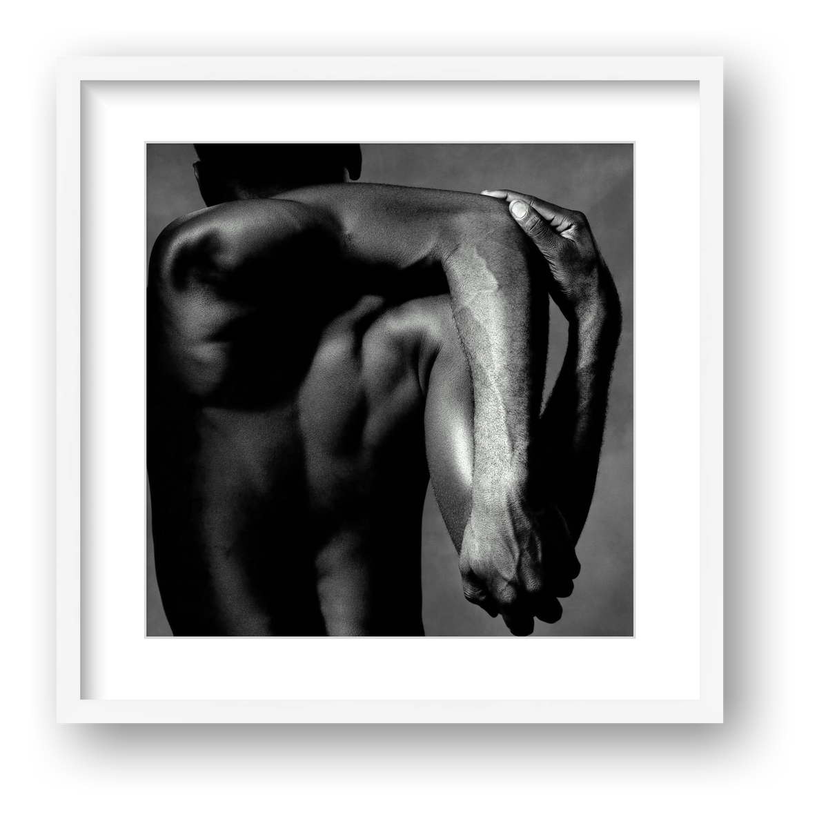Convergent Anatomy | Fine Art Licensed Photography — framed
