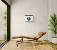 Modern interior with a brown leather lounge chair, framed artwork, and a potted plant.