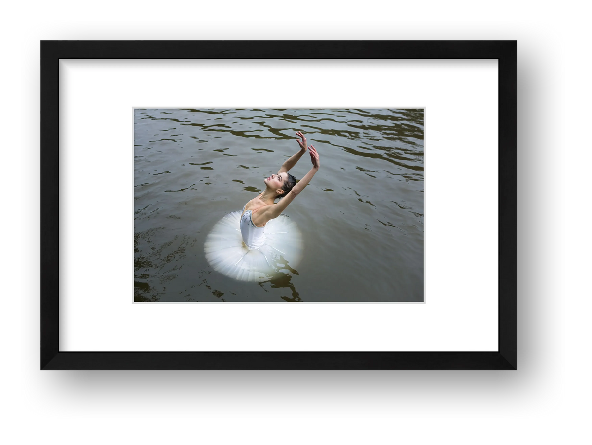 Swan Waltz | Dance-Art Premium Print or Framed Print #16G — framed