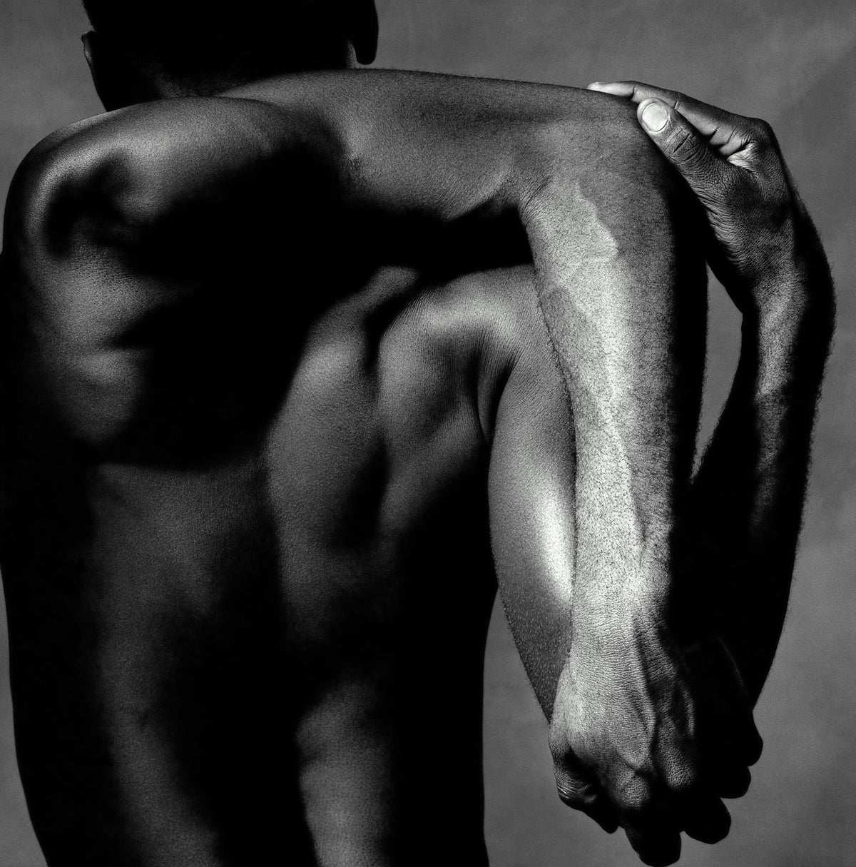Convergent Anatomy