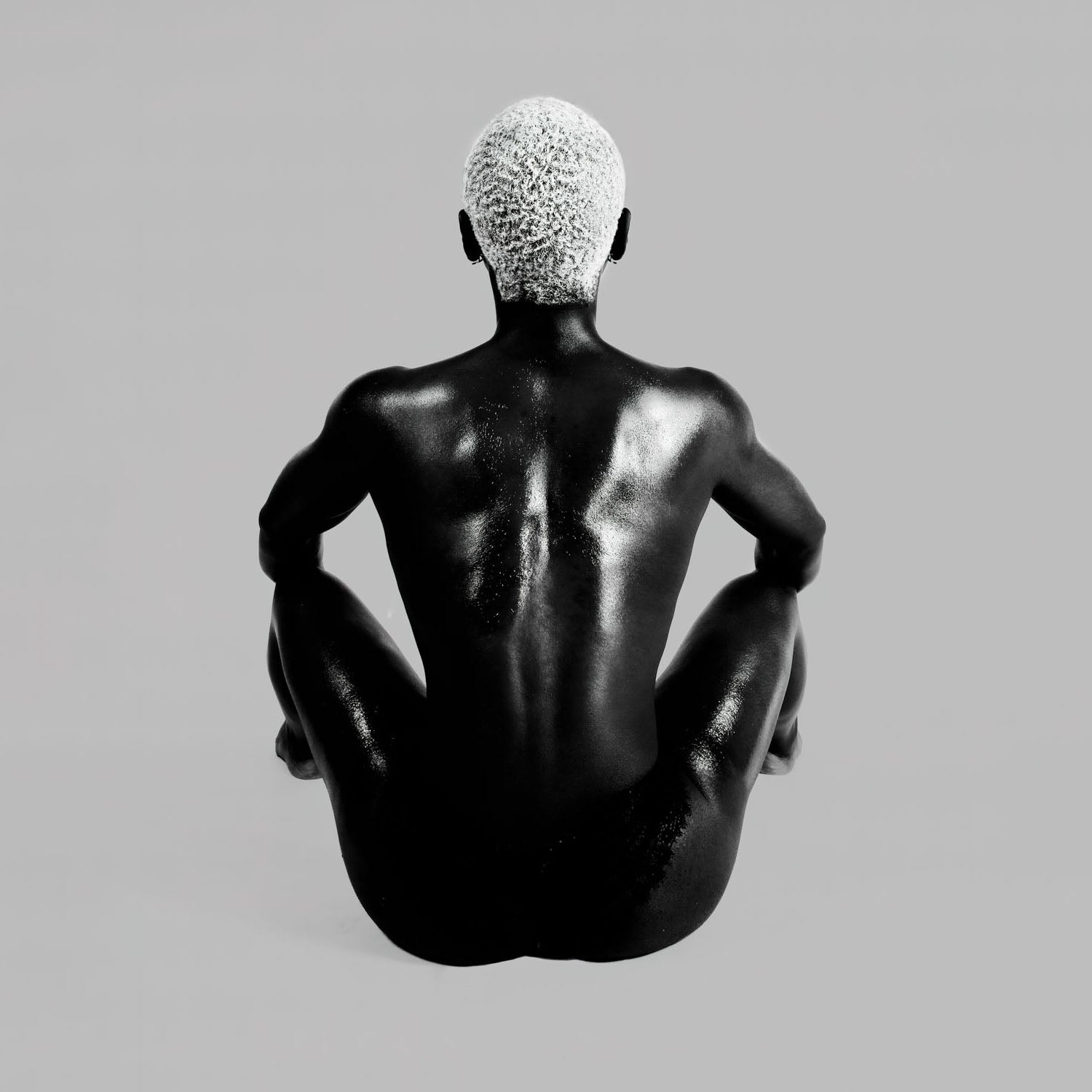 Blackbird 2 | Fine Art Photographic Print Mounted on Alu-Dibond | 60 × 60 cm | Standard Format Statement