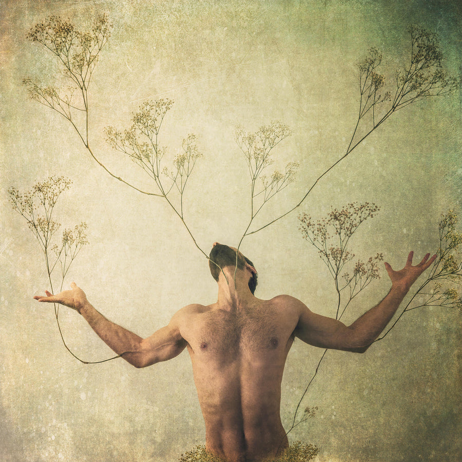 Branching Out by Mati Gelman