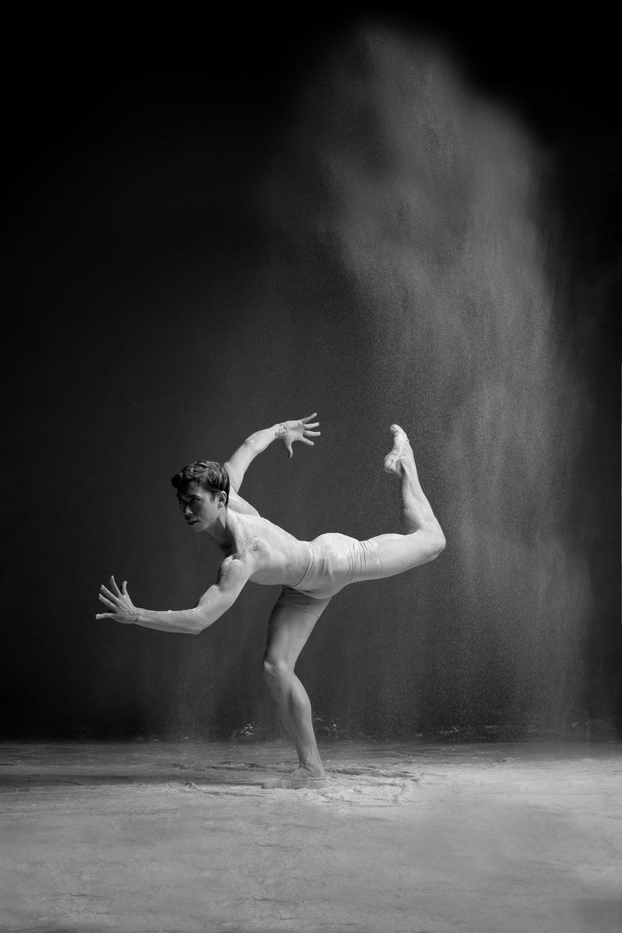 Danseuse de Francisco Estevez