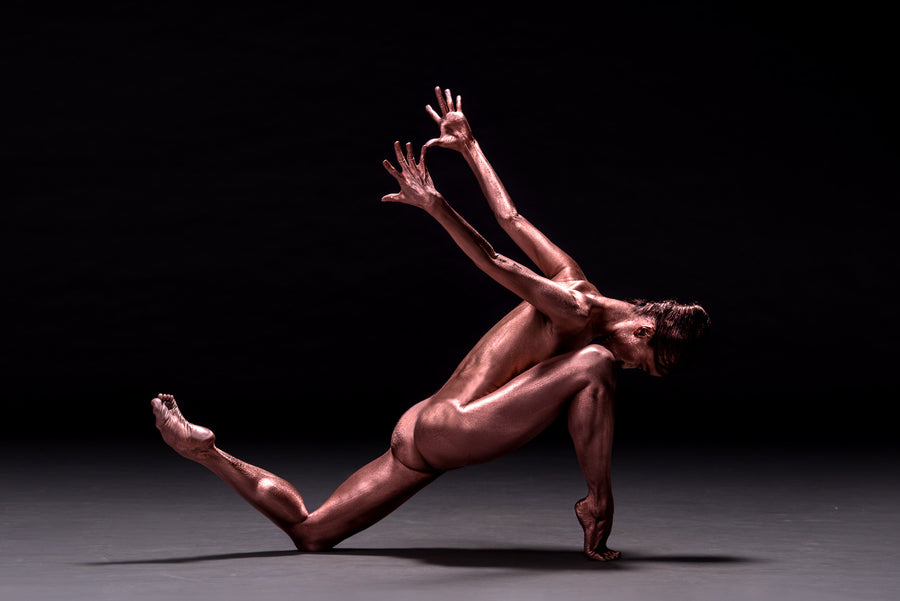 Danseuse de Francisco Estevez