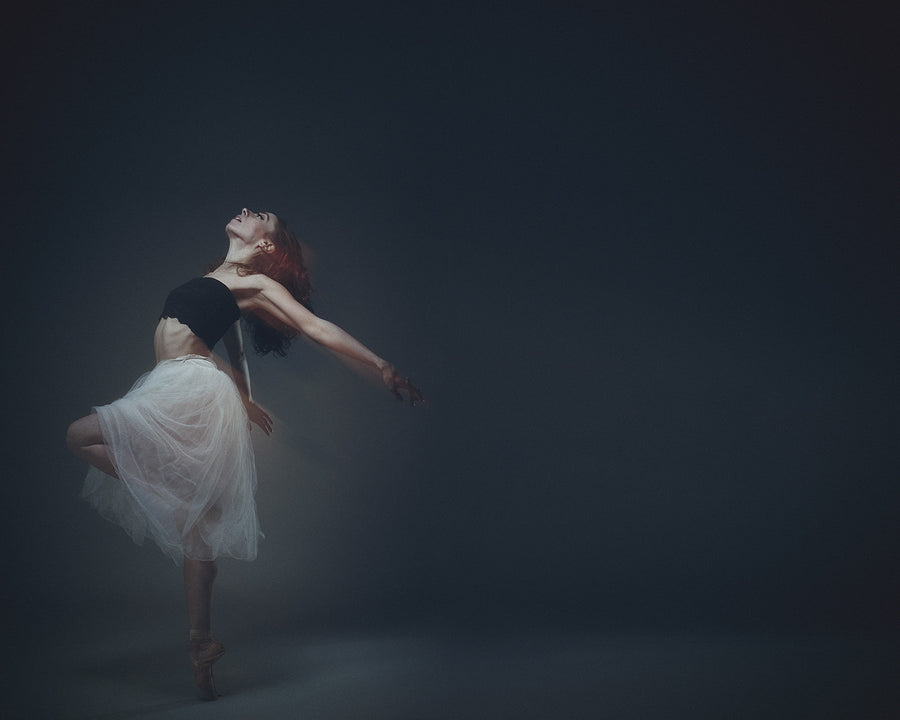 Le rêve de la ballerine par David Perkins