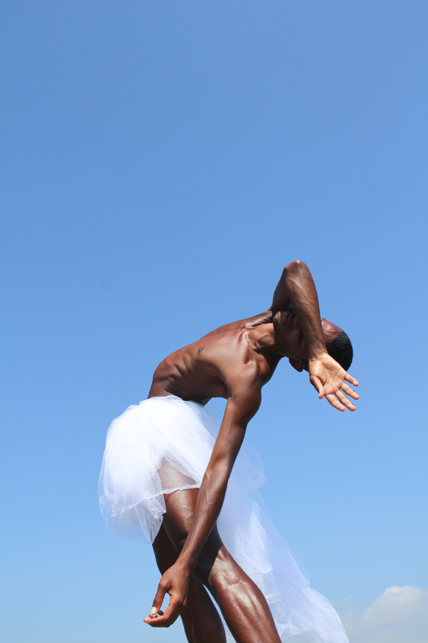 Hide and Seek Dance Photography Print on Aluminium from exhibition "The lost Swan" by Bert Alan exclusively on I Dance Contemporary Gallery.jpg