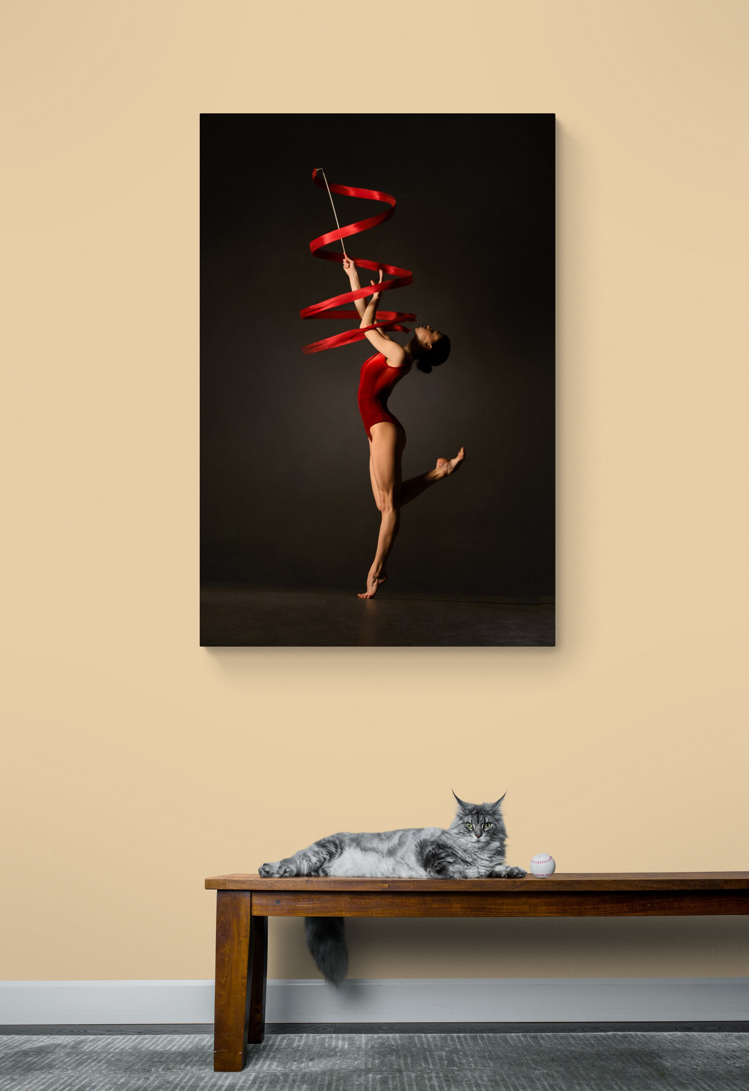 Female gymnast, red bodysuit, practicing, ribbon, red. Art print on the wall. below a cat sitting on a bench.